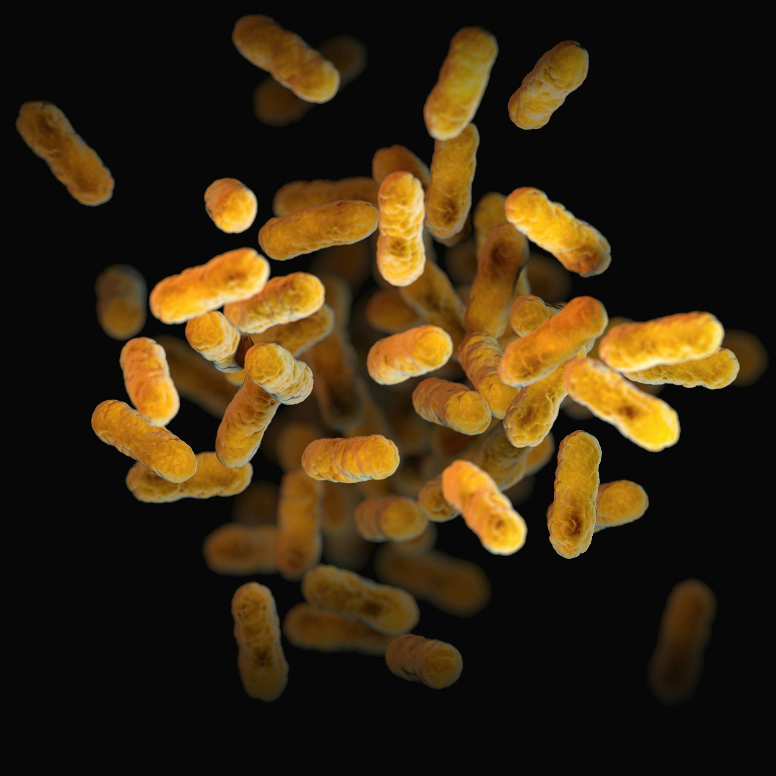 Prebiotics